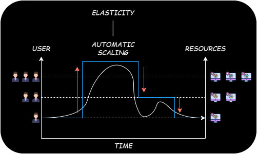 Elasticity